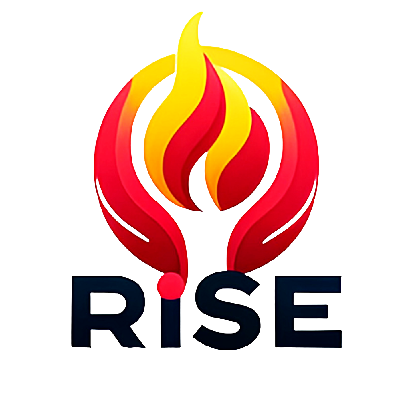 Rise Statistics Logo